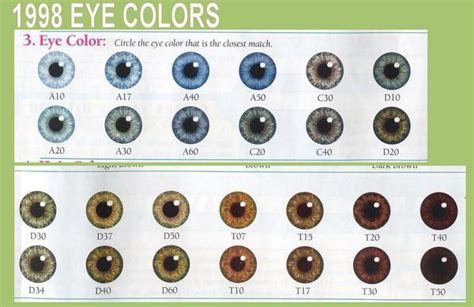 1998 Eye Chart Clippings | 1998 Eye Chart | Eye chart, Eye color chart, Eyes