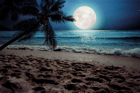 Moon Night Ocean Wallpapers - Top Free Moon Night Ocean Backgrounds - WallpaperAccess