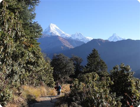 Tourism - Digital Green Nepal