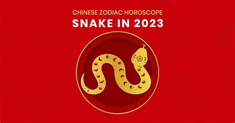 Snake Zodiac in 2023 with Detailed Guide - RenerQi