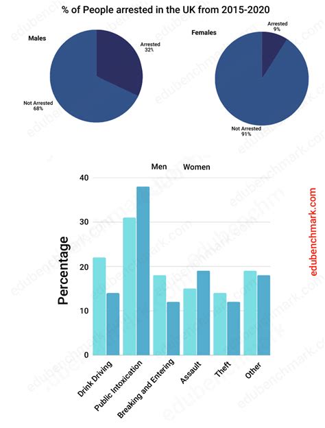 IELTS Pie Chart and Bar Graph for Writing Task 1 Sample