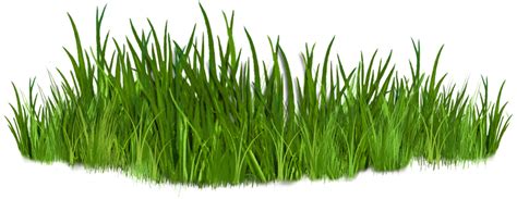 transparent green grass vector - Clip Art Library