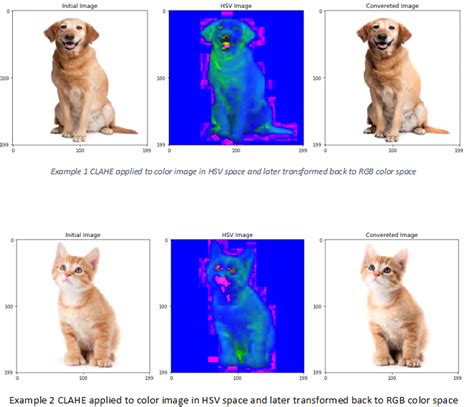 Histogram Equalization | by Shreenidhi Sudhakar | Towards Data Science