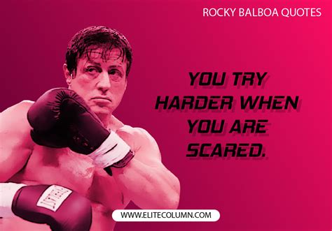 10 Rocky Balboa Quotes To Instill The Fighter Spirit In You | EliteColumn