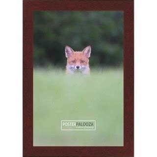 30x40 Traditional Mahogany Wood Picture Frame - Complete with Frame Grade Acrylic, Backing, and ...