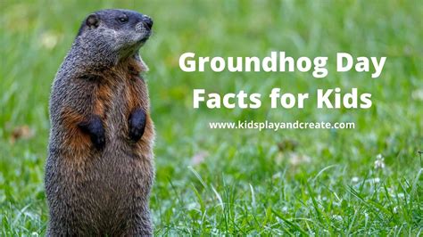 Groundhog and Groundhog's Day Facts for Kids - Kids Play and Create