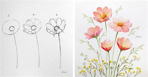 Drawing for beginners flowers - dgsapje