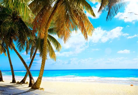 Exotic Beach Resorts Wallpaper - WallpaperSafari