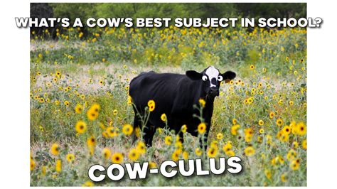 Funny Cow Memes - Page 11 of 62 - Entegra Signature Structures