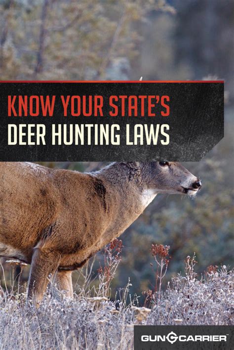 Hunting Laws | Deer Season And Hunting Laws - American Gun Association