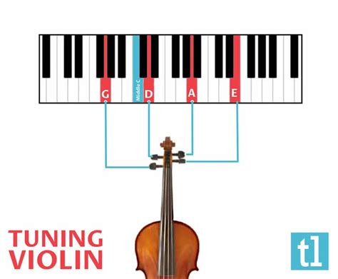 What Are The Violin String Notes? | Ted's List