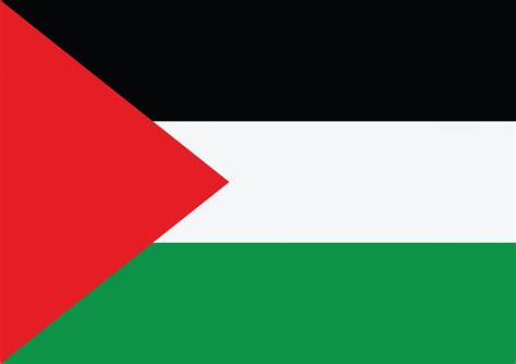 Palestine Flag Aesthetic