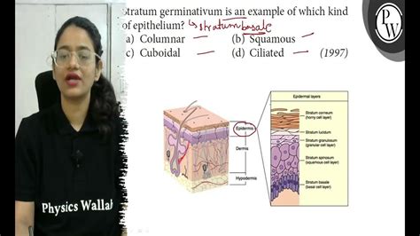 stratum germinativum is an example of which kind of epithelium? a) Columnar (b) Squamous c ...