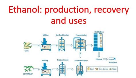 Ethanol : production, recovery and uses - Microbiology Notes