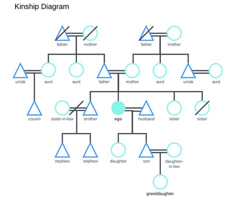 How to Make a Kinship Diagram | Lucidchart Blog