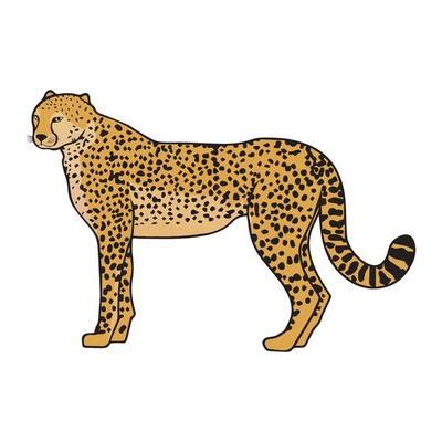 Cheetah Vector Art, Icons, and Graphics for Free Download