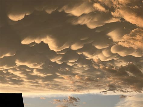 Are these mammatus clouds? Formed after a storm in Texas yesterday. : r ...