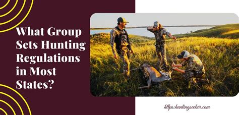 What Group Sets Hunting Regulations in Most States? in 2021 | Hunting ...