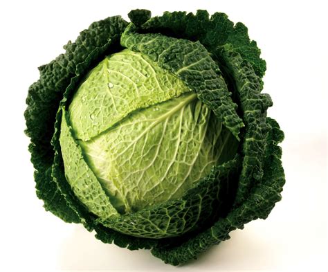 Savoy Cabbage - Riviera Produce, Cornwall's grower of choice.