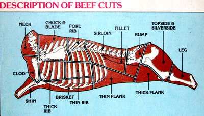 Beef - suitable cooking methods