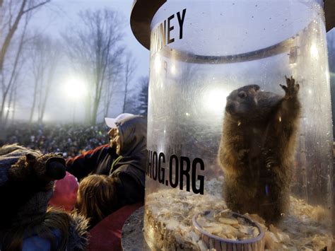 Groundhog Day: Bringing The Celebration Out Of The Shadows : NPR