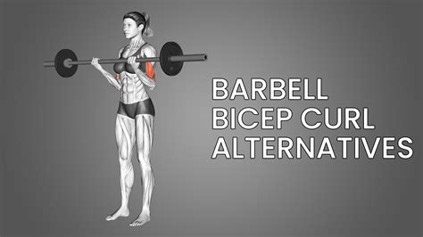 6 Best Barbell Curl Alternatives (with Pictures!) - Inspire US