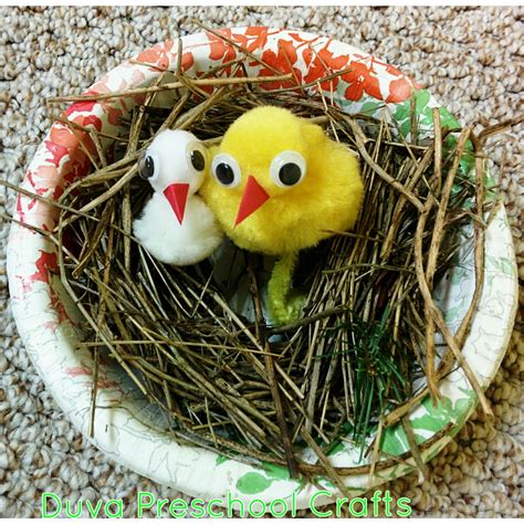 Duva Preschool Craft Ideas: Bird Nest for Preschool Kids