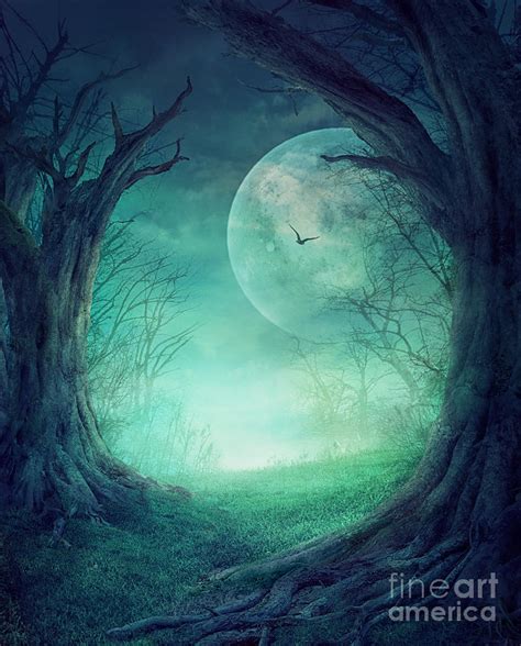 Halloween Spooky Forest Digital Art by Mythja Photography - Fine Art America