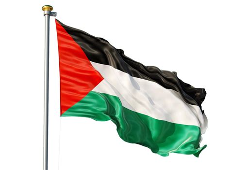 Old Palestine Flag