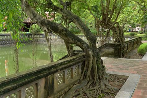 Hoa Lu Ancient Capital, Ninh Binh, Vietnam Stock Image - Image of binh ...