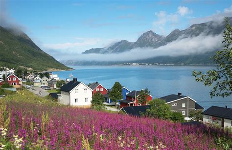 Introducing Senja Island in Northern Norway - Life in Norway