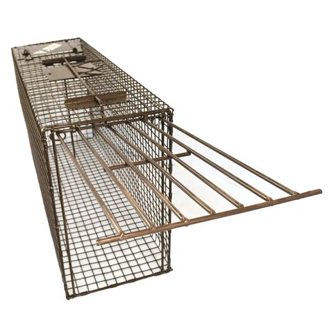 Bobcat Live Cage Trap, Bobcat Pro | Animal Traps & Supplies