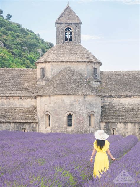 Travel 10 tips for planning the perfect lavender fields of provence road trip – Artofit