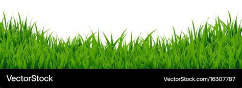 Green grass border Royalty Free Vector Image - VectorStock