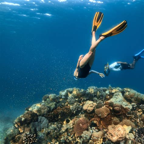 The Top 10 Best Snorkeling Spots In The US – DesertDivers