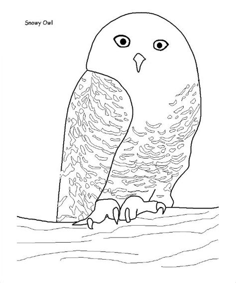 Cute Snowy Owl Coloring Pages - Coloring Pages Ideas