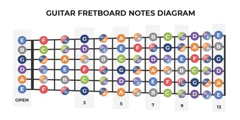 How to Learn the Fretboard | Guitar Fretboard Diagram | Yousician | Guitar fretboard, Learn ...