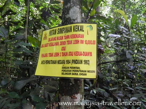 Hiking Ayer Hitam Forest Reserve, Puchong Hill, Selangor, Malaysia