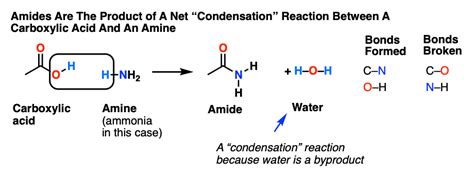 Simple Hydrolysis Reaction