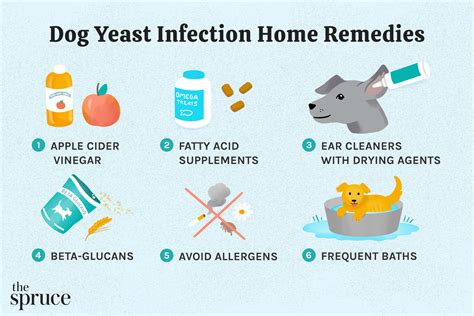 Home Remedies For Dog Paw Infection