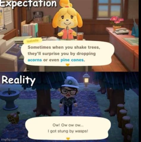 AnimalCrossing_memes Memes & GIFs - Imgflip