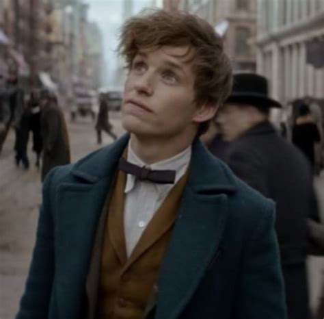 newt scamander on Tumblr