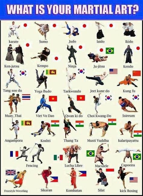 Pin by myt on core | Different martial arts, Karate martial arts, Karate styles