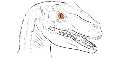 Sketch of Blue From Jurassic World : r/DinosaurDrawings