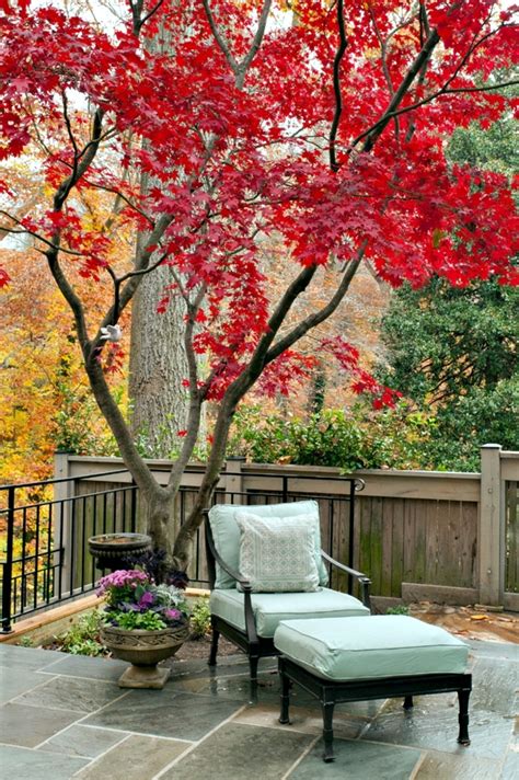 32 Backyard Tree Landscaping Ideas : Garden Design