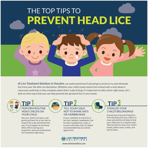 Head Lice Treatment Houston: Tips To Prevent Head Lice