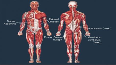 What is Core