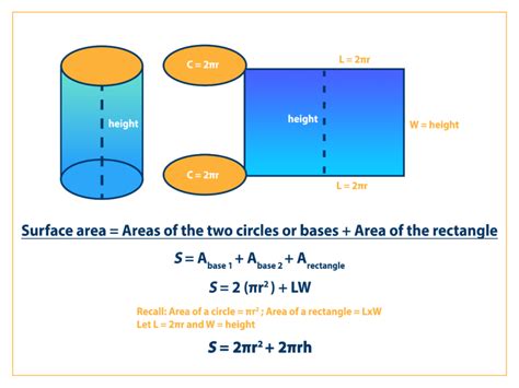 Surface Area of a Cylinder: Formula & Examples - Curvebreakers