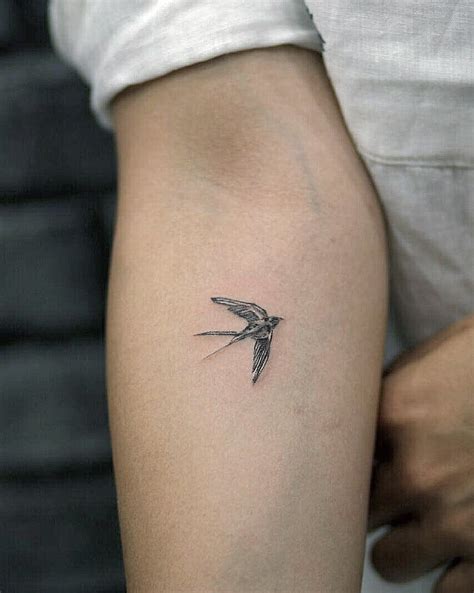 Discover more than 67 swallow tattoo design best - vova.edu.vn