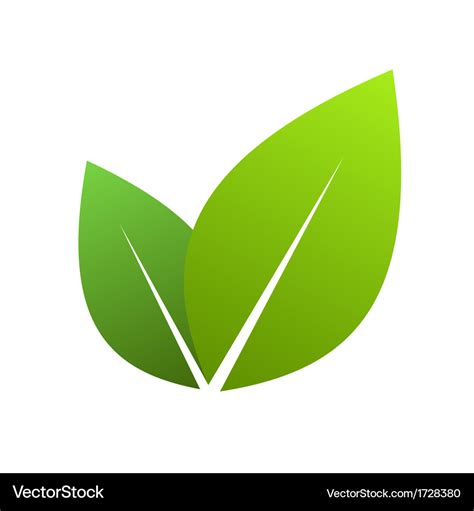 Green leaves Royalty Free Vector Image - VectorStock